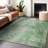 Machine Washable Indoor/Outdoor Xhevrie Green Rug-1913068998