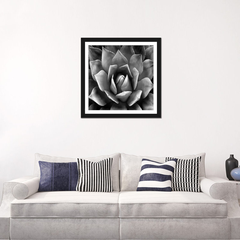 «Succulent II», impression sur toile, H 16 po x l 16 po x P 1 po, Papier d'art encadré noir, Blanc