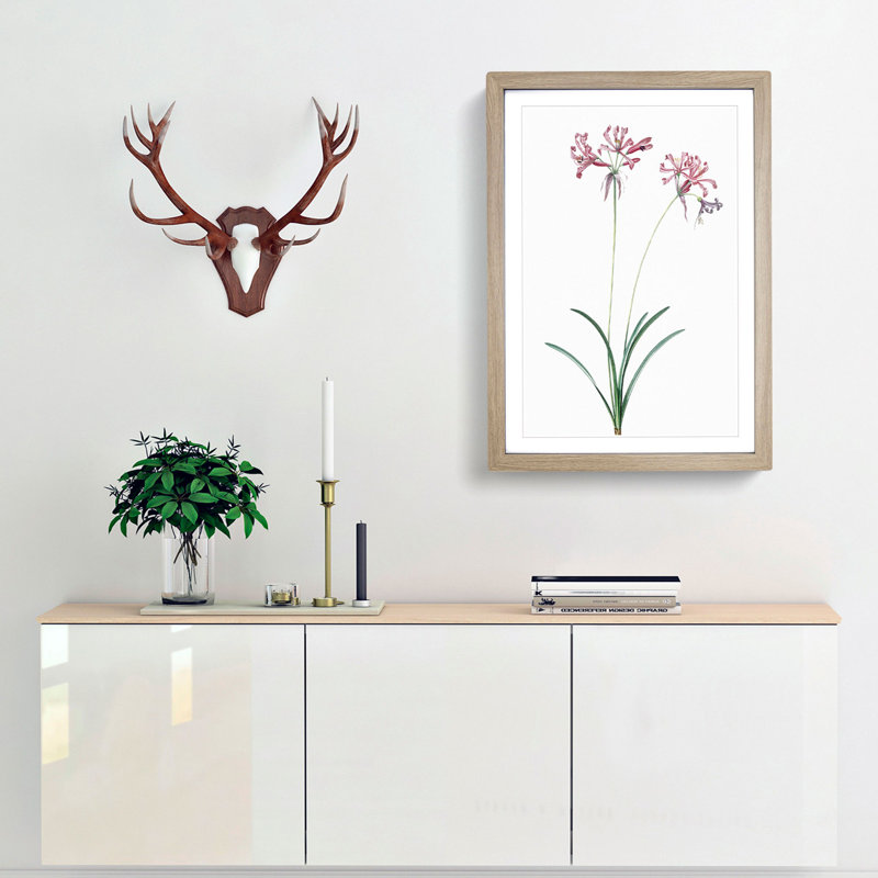 Nerine Lily Flowers by Pierre-Joseph Redoute - Picture Frame Painting Print, Oak Framed, 48cm H x 36cm W x 2cm D