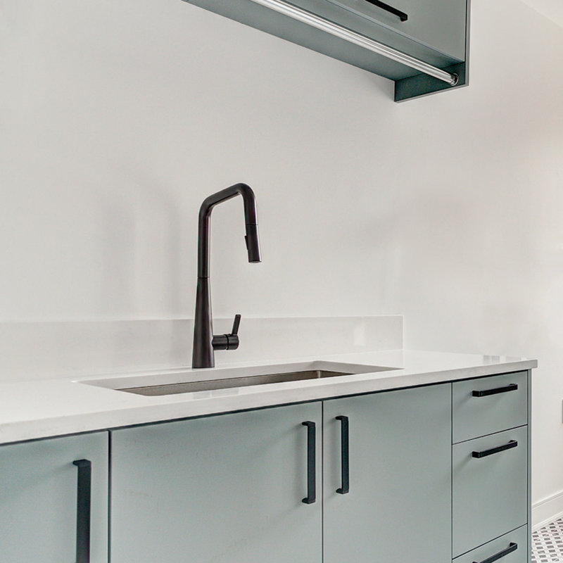 AGUA CANADA Master Pull Down Kitchen Faucet