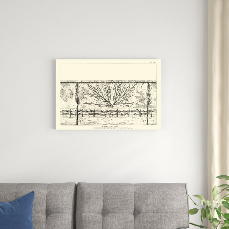 Schéma antique pour Espaliers I - impression sur toile tendue, H 20 po x l 30 po x P 1,25 po