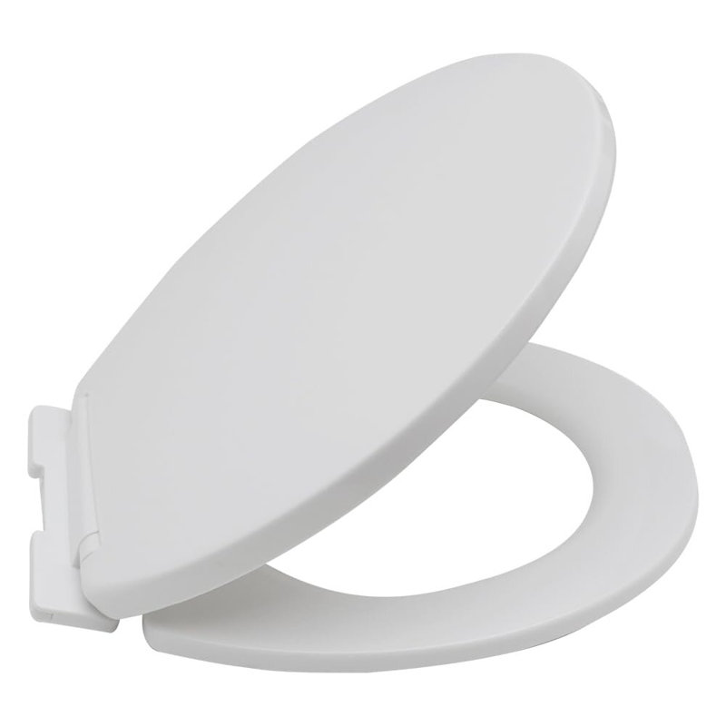 Toilet lid-024