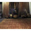 Rag Striped Area Rug in Beige/Gold/Red/Roseberry-711828911