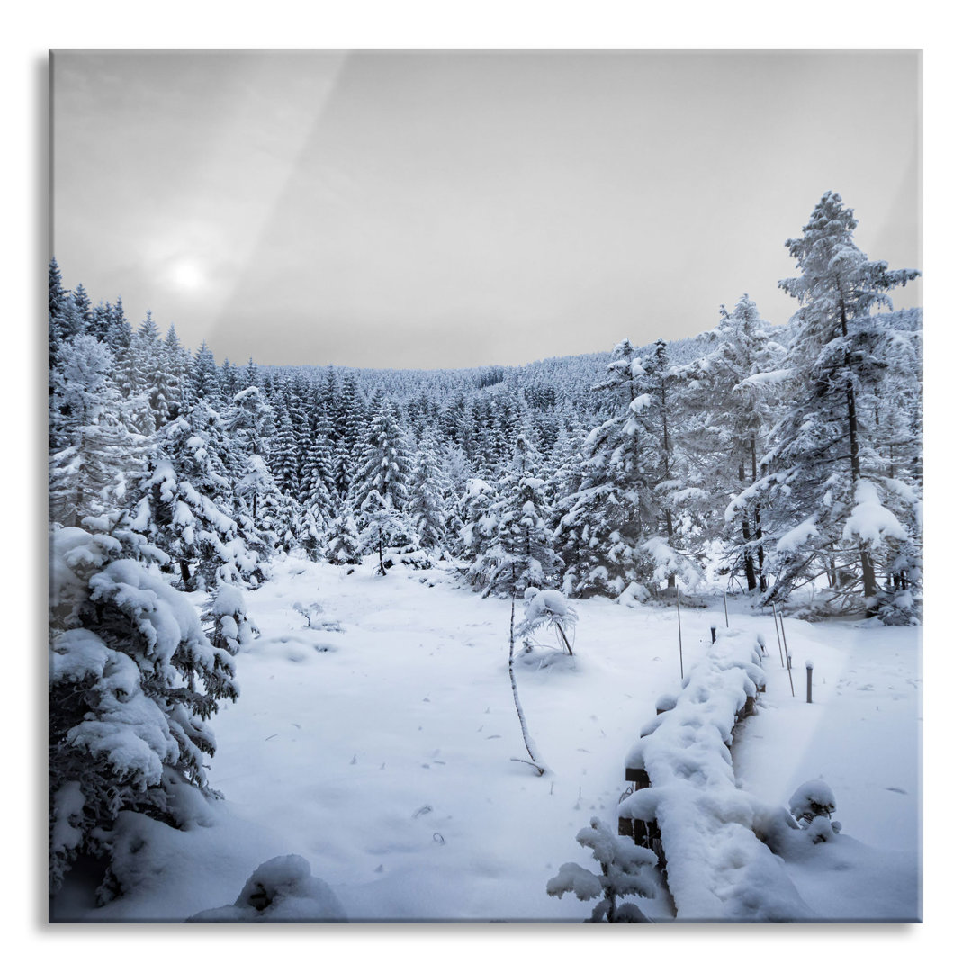 Glasbild Wald im verschneiten Winter