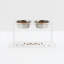 Clear Overflow Feeding Tray-1103140363
