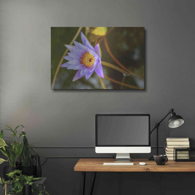 «Floral Color Theory» par AKG