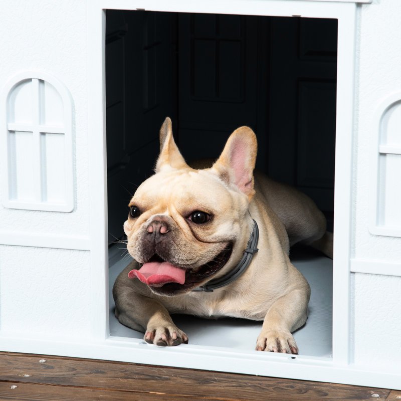 Chiot chenil pour chiens de taille moyenne - bleu, imperméable, imperméable, mignon, facile à installer