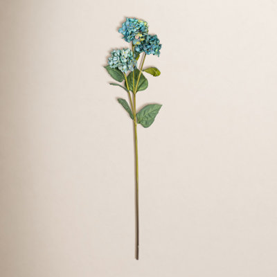 Ranbir Hydrangea Stems