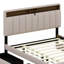 Grand lit plateforme tapissier avec tête de lit Hosley, lit gigogne simple TG et 2 tiroirs-2029290207