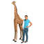 Statue de jardin Mombasa la girafe