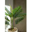32'' Faux Palm Tree in Ceramic Planter