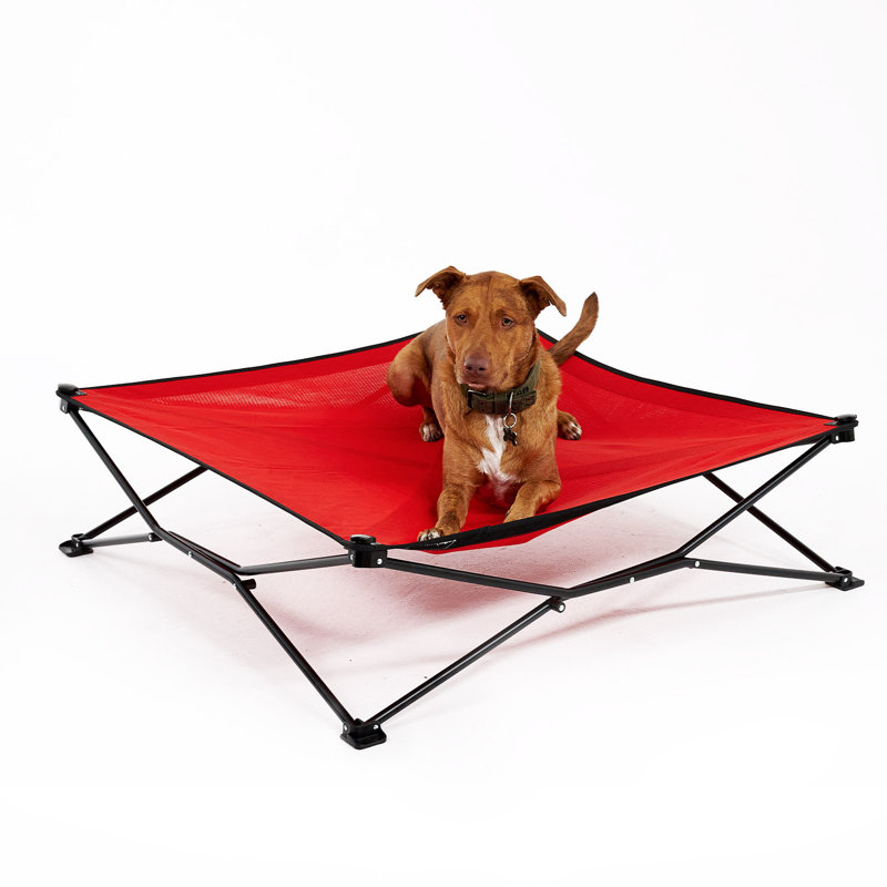 Polyester Pet Bed, 11.5" H x 41" W x 41" D, Red