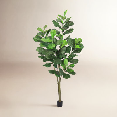 96" Tree in Pot