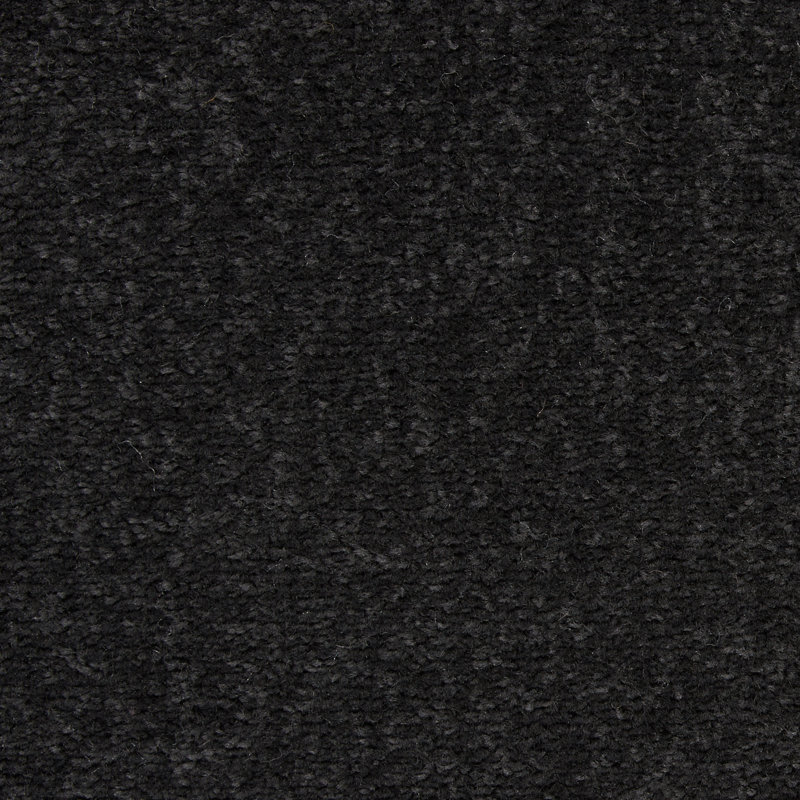 Nourison Essentials Black Indoor/Outdoor Area Rug, Rectangle 2' x 4'