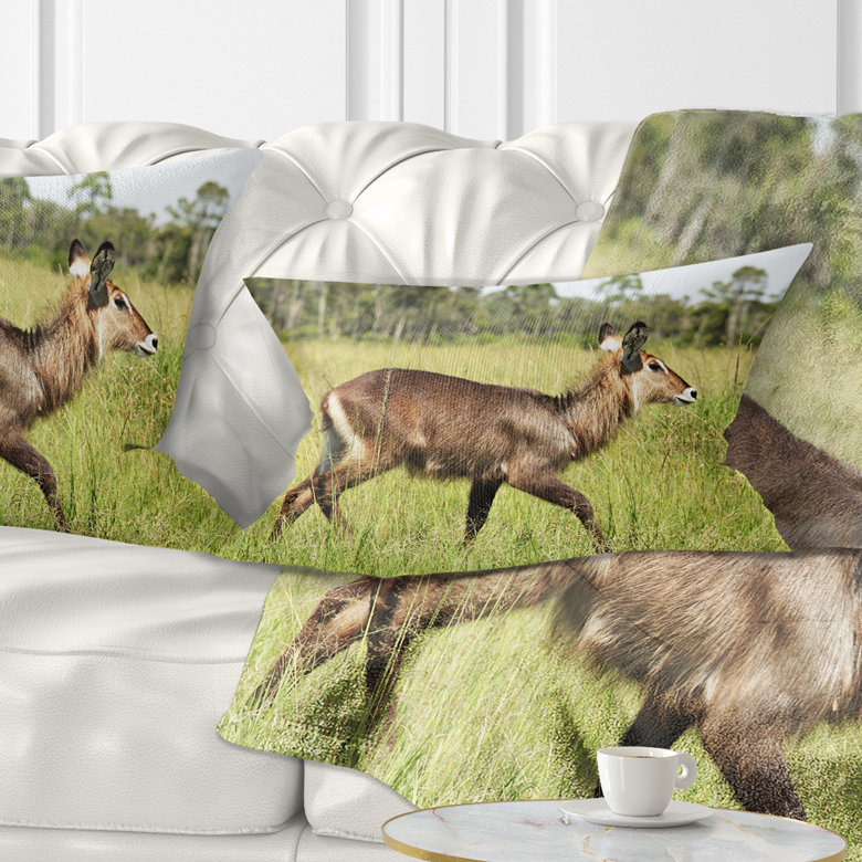 Coussin lombaire en herbe antilope waterbuck africain