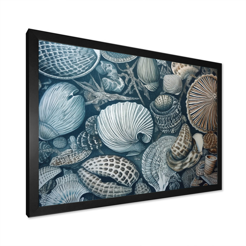 Seaside Seashells I, reproduction d'art sur toile, Cadre photo noir, H 16 po x l 32 po x P 1 po