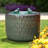 Jaici Weather Resistant Floor Fountain with Light-797131091