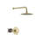 All-In-One Kit with Rough in-Valve-60135009