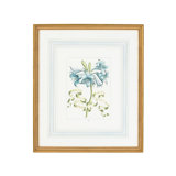 Blue Floral With Ribbon-C Print