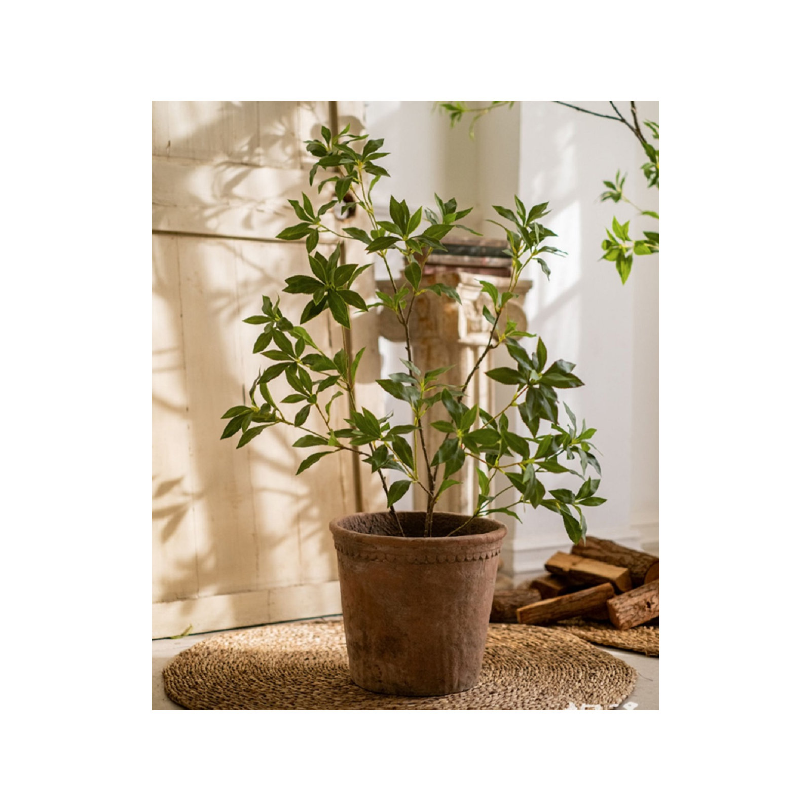 Gant Faux Tree, 37.4" H x 21.6" W x 6" D
