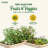 Wood Raised Garden Bed-57898438