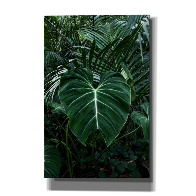 «Tropical 3» par PhotoINC Studio, H 40 po x l 26 po x P 1,5 po