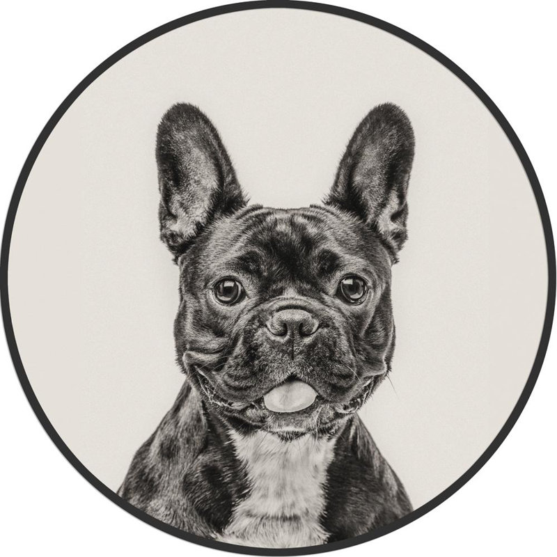 Décoration murale bouledogue french