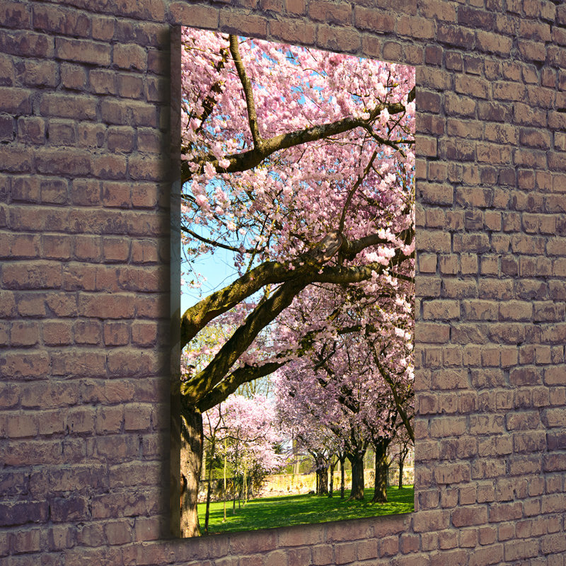Cherry Trees - Wrapped Canvas Print
