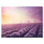 Lavender Fields pendant l'aube - reproduction sur toile-59710380-59710381
