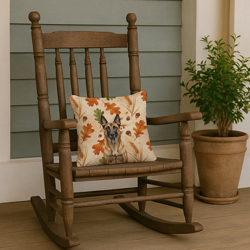 Coussin Belge, Malinois belge, Carré 14 po