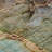 Premium Machine Washable Prisco Coral Rug-737629129
