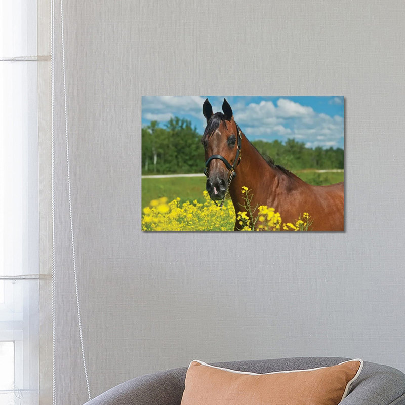 Canada, Manitoba, Grosse Isle by Jaynes Gallery - Wrapped Canvas Print, 66.04 cm H x 45.72 cm W