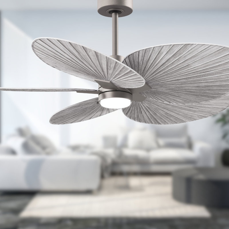 Alessandra Tropical - Five Blade Ceiling Fan - Integrated LED -Matte Black Finish -Light Blue Blades, Brushed Nickel