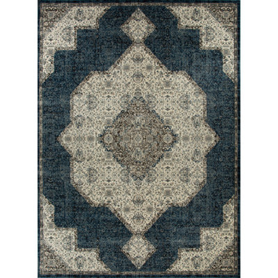 Ostergren Collection Blue/White/Grey Transitional Oriental Area Rug