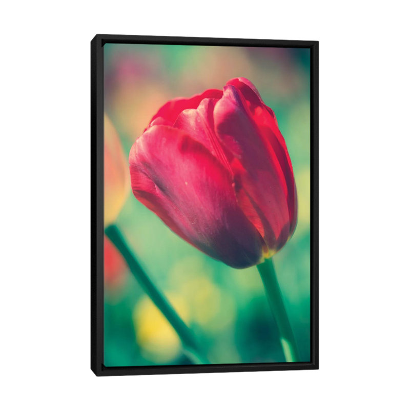 «Tulip Sway II», reproduction de photo sur toile, H 60 po x l 40 po x P 1,5 po, Toile avec cadre noir, Pas de tapis