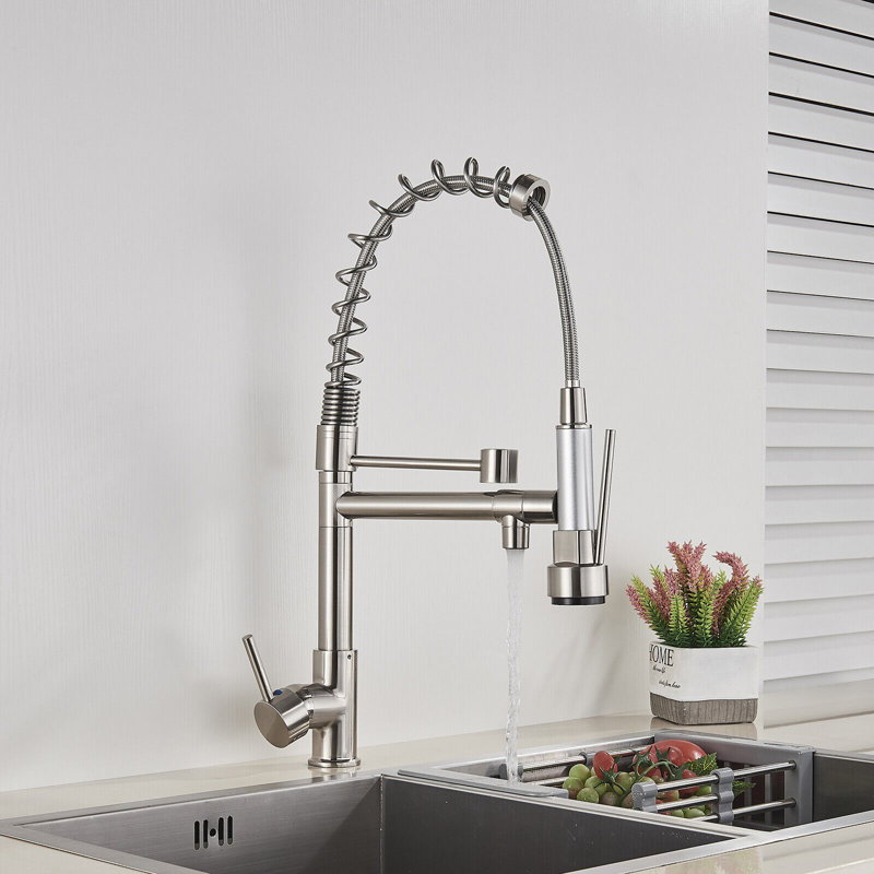 Belfry Kitchen Allicia Pull Down Kitchen Faucet