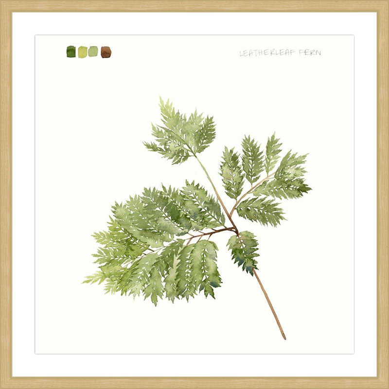 «Leaf Study II», reproduction encadrée, H 12 po x l 12 po x P 1,5 po