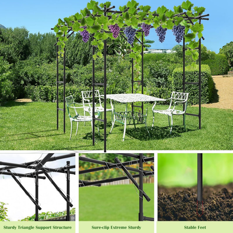 Tall Black Metal Garden Arch Trellis for Climbing Plants