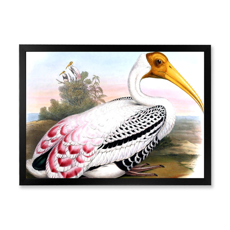 Vinage, animaux de campagne I - cadre photo, impression sur toile, H 12 po x l 20 po x p 1 po, Cadre noir