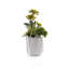 Faux Succulent Plant in Ceramic Planter