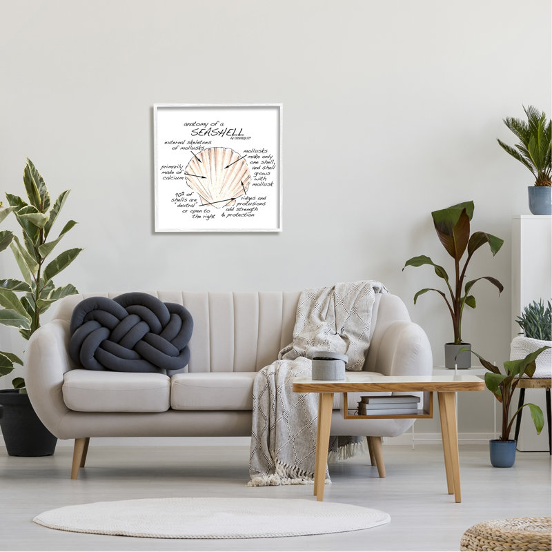 Anatomy Of Seashell, H 24 po x l 24 po x P 1,5 po, Giclée encadrée blanc bord de mer