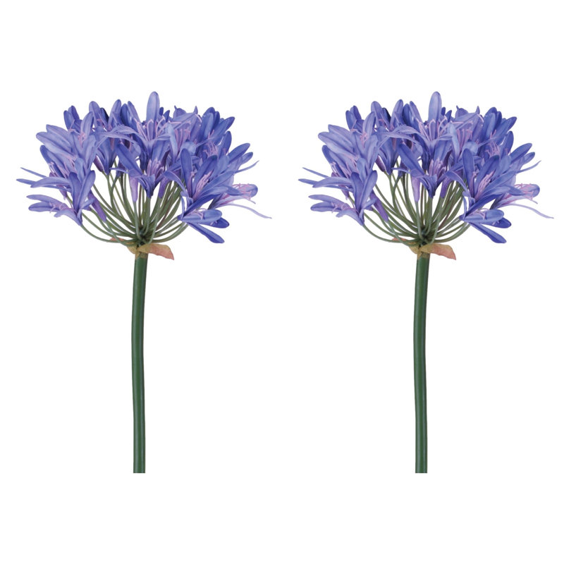 Tige de fleur Agapanthus (ensemble de 2), Vert, mauve, rose