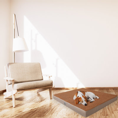 Lit pour animaux