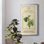 Linnaean Botany V - peinture sur toile encadrée-1872804157-1872804097