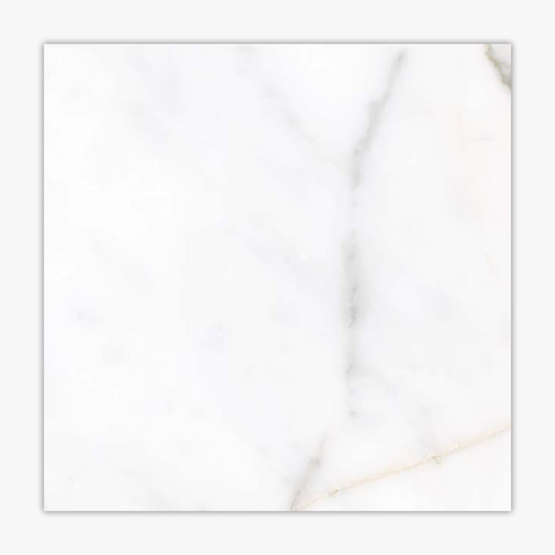 Carreau de mur et de sol en porcelaine 24 po x 24 po, Italia Italia poli