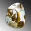 Boze Print on Glass