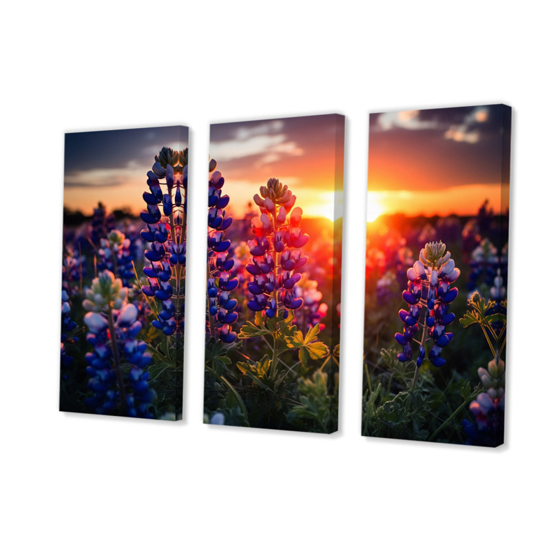 Sunrise Blue Bonnets Field I sur toile, reproduction de 3 pièces, H 28 po x l 36 po x P 1 po