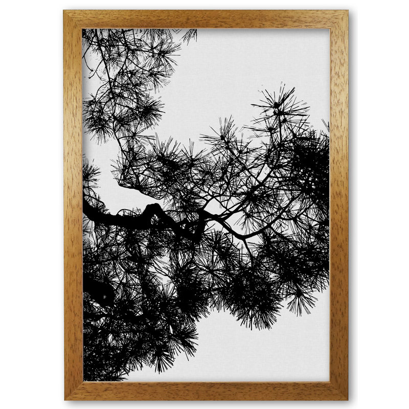 Pine Tree Black & White - Print, 42 cm H x 30 cm W x 5 cm D, Honey Oak Frame