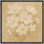 Doux bouquet floral blanc sur fond neutre chaleureux - impression sur toile encadrée-834372302-834372301