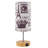 Asaph Metal USB Desk Lamp